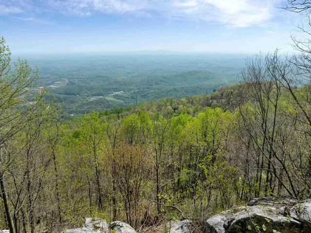 $1,195,000 | 7860 Glassy Ridge Road, Landrum, SC 29356