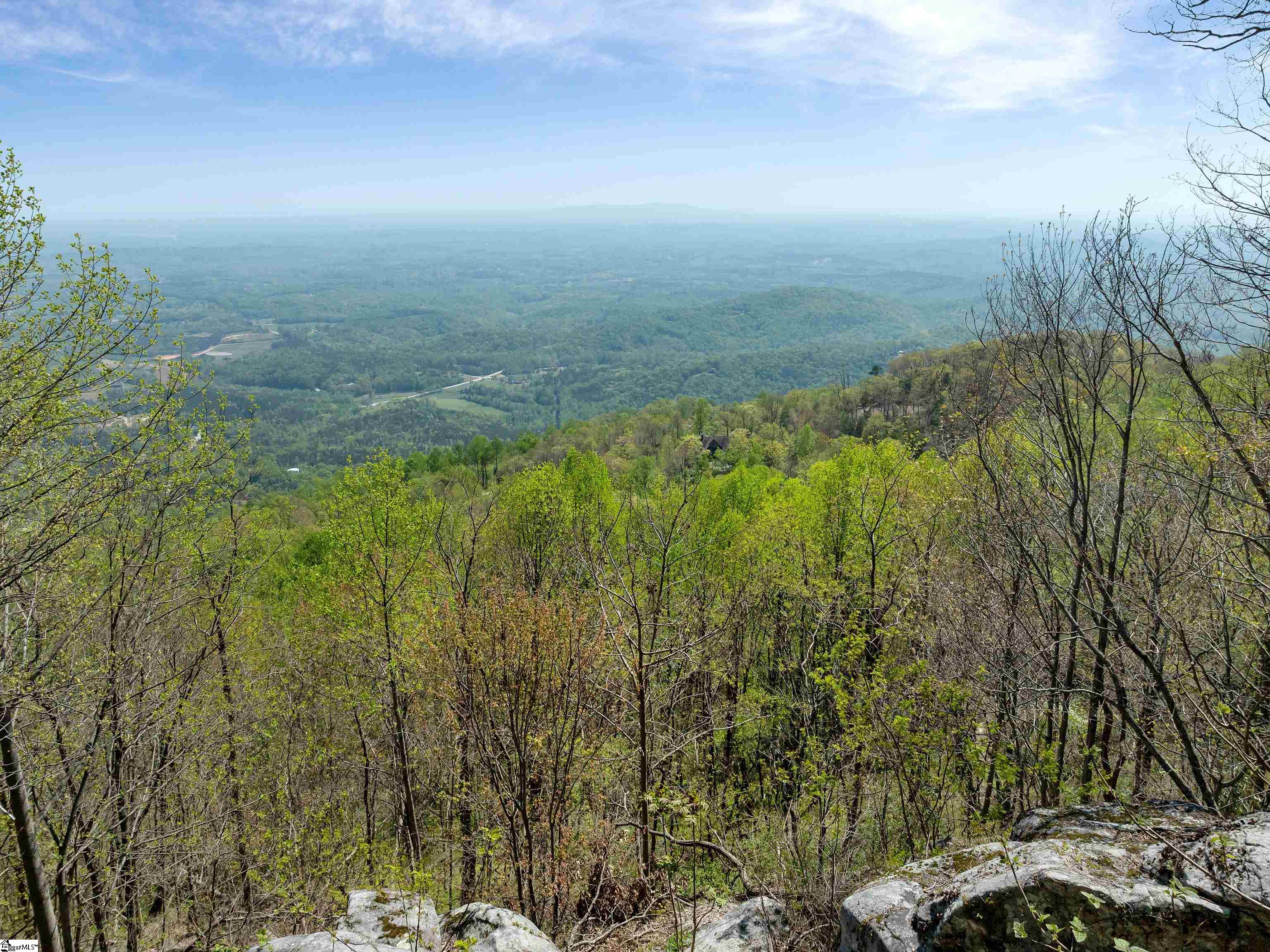 7860 Glassy Ridge Road Landrum, SC 29356 - Photo 47 of 50