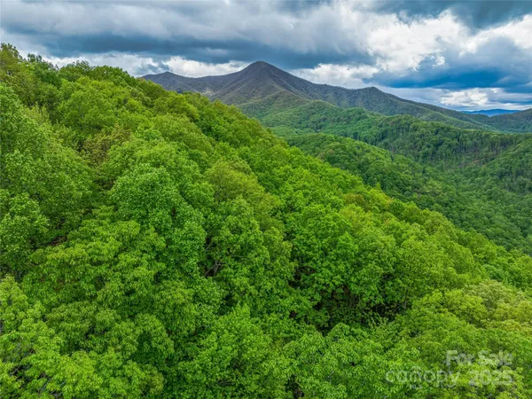 a view of a back yard of the green space