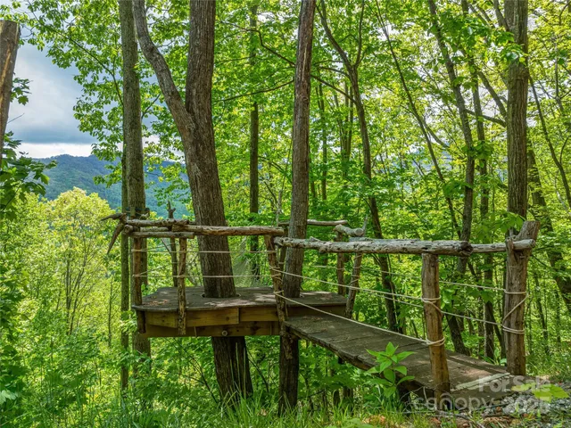 a view of a plants and trees in the background