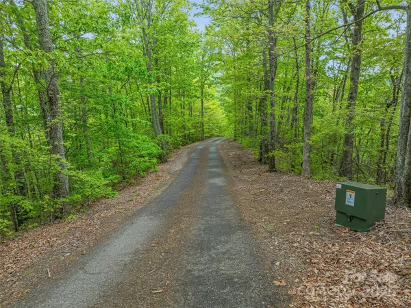 a view of a street with a trees