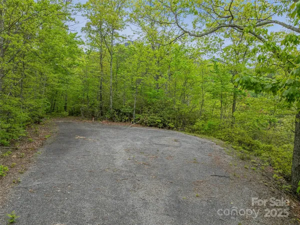 a view of a garden with plants
