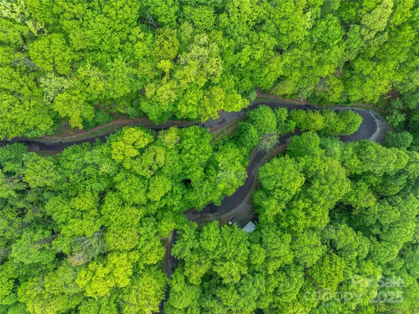 a view of a lush green hillside and a houses