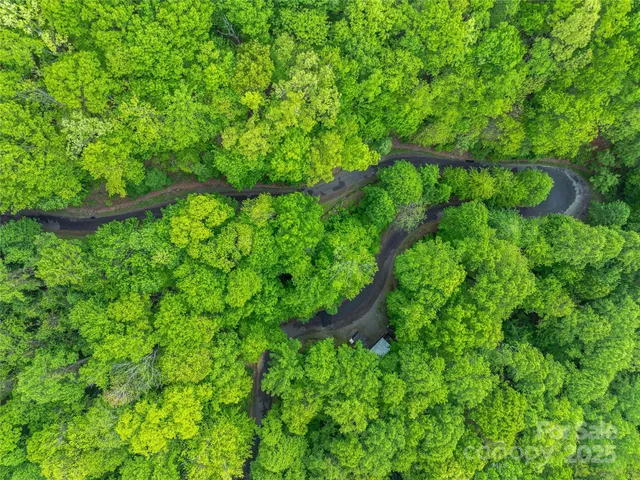 a view of a lush green hillside and a houses