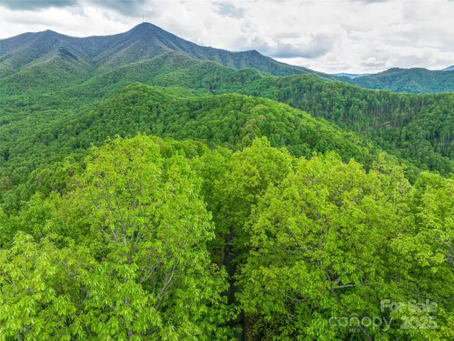 a view of a city with lush green forest