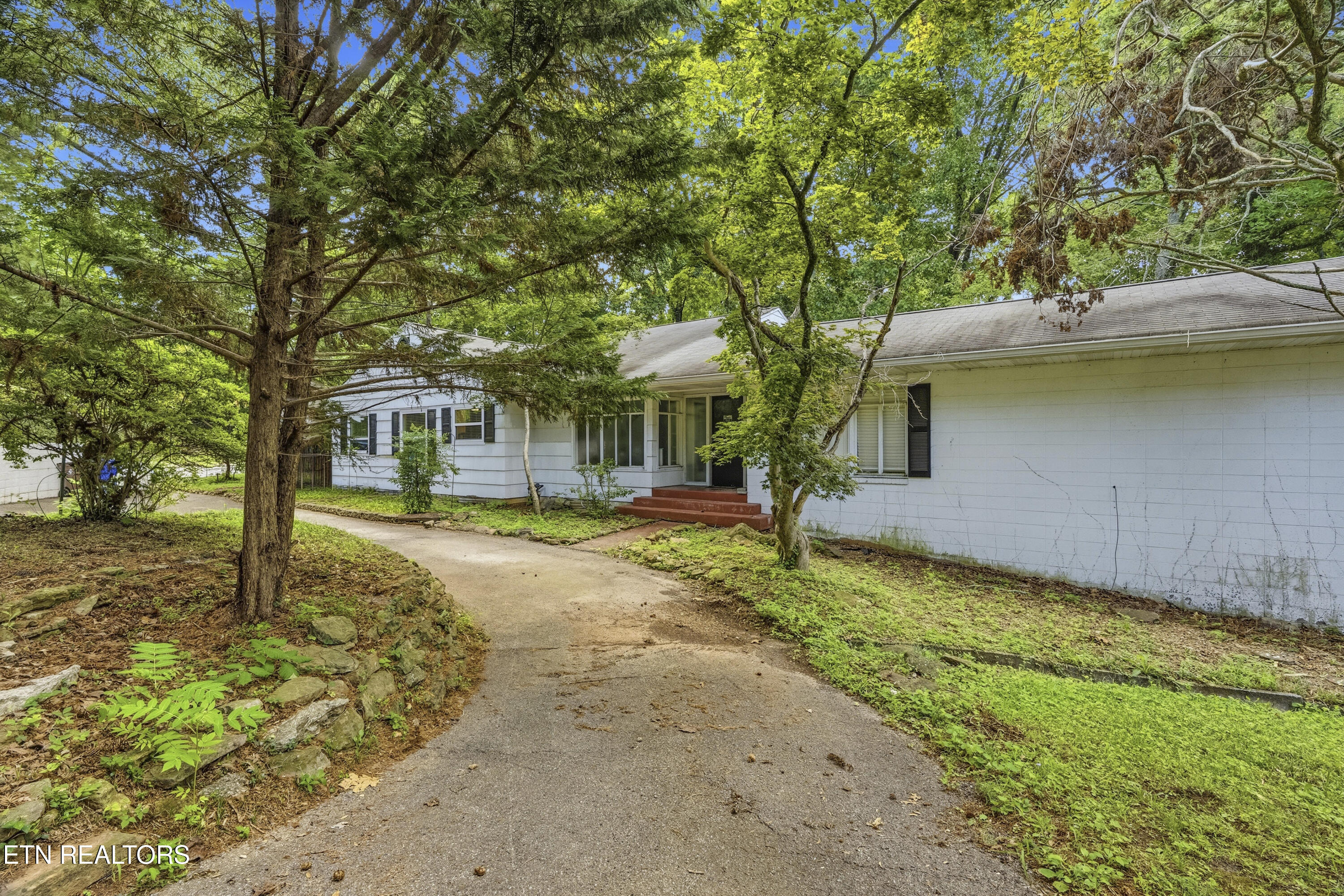 124 Orchard Circle Oak Ridge, TN 37830 - Photo 3 of 24 DSC09515