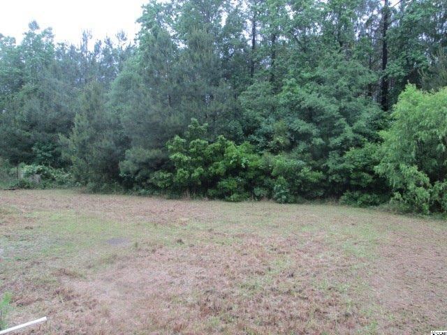920 Turkey Pen Road Longs, SC 29568 - Photo 5 of 14 Gallery Image 5