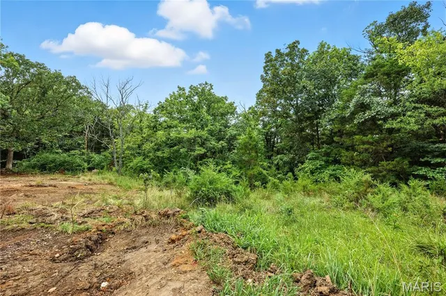 $30,000 | 12323 Highway 21, Hillsboro, MO 63050