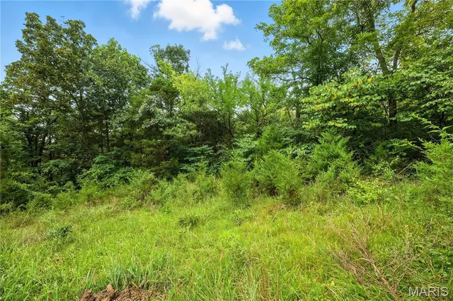 $30,000 | 12323 Highway 21, Hillsboro, MO 63050