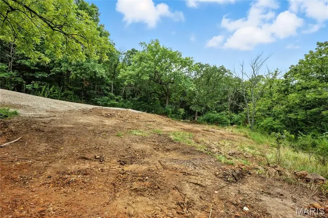 $30,000 | 12323 Highway 21, Hillsboro, MO 63050