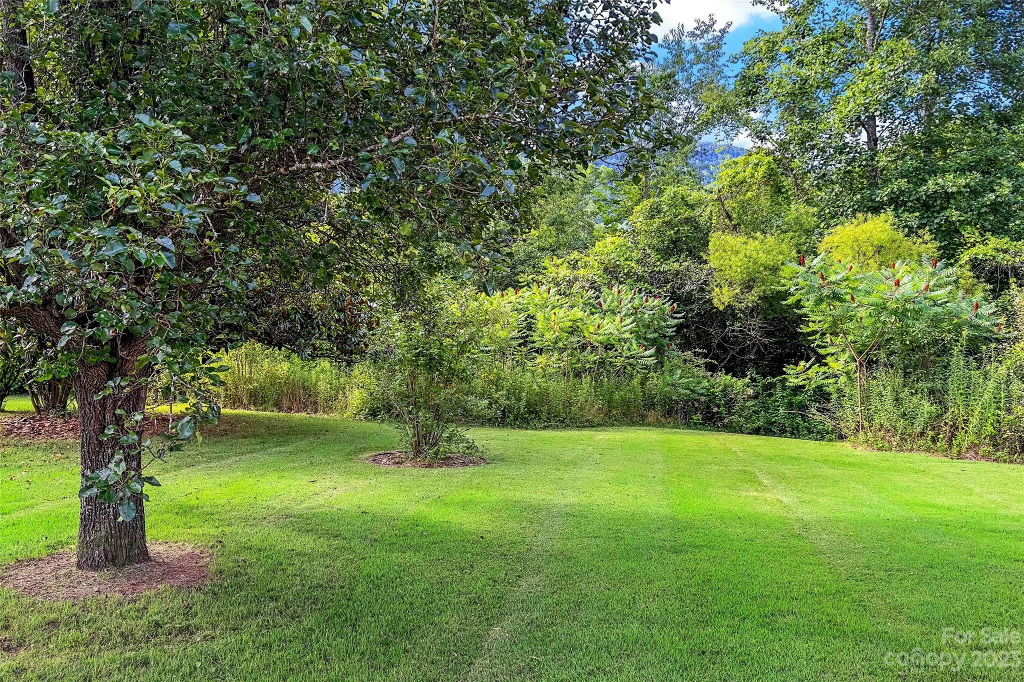 5232 Bat Cave Road Old Fort, NC 28762 - Photo 31 of 32 a view of a trees in a park