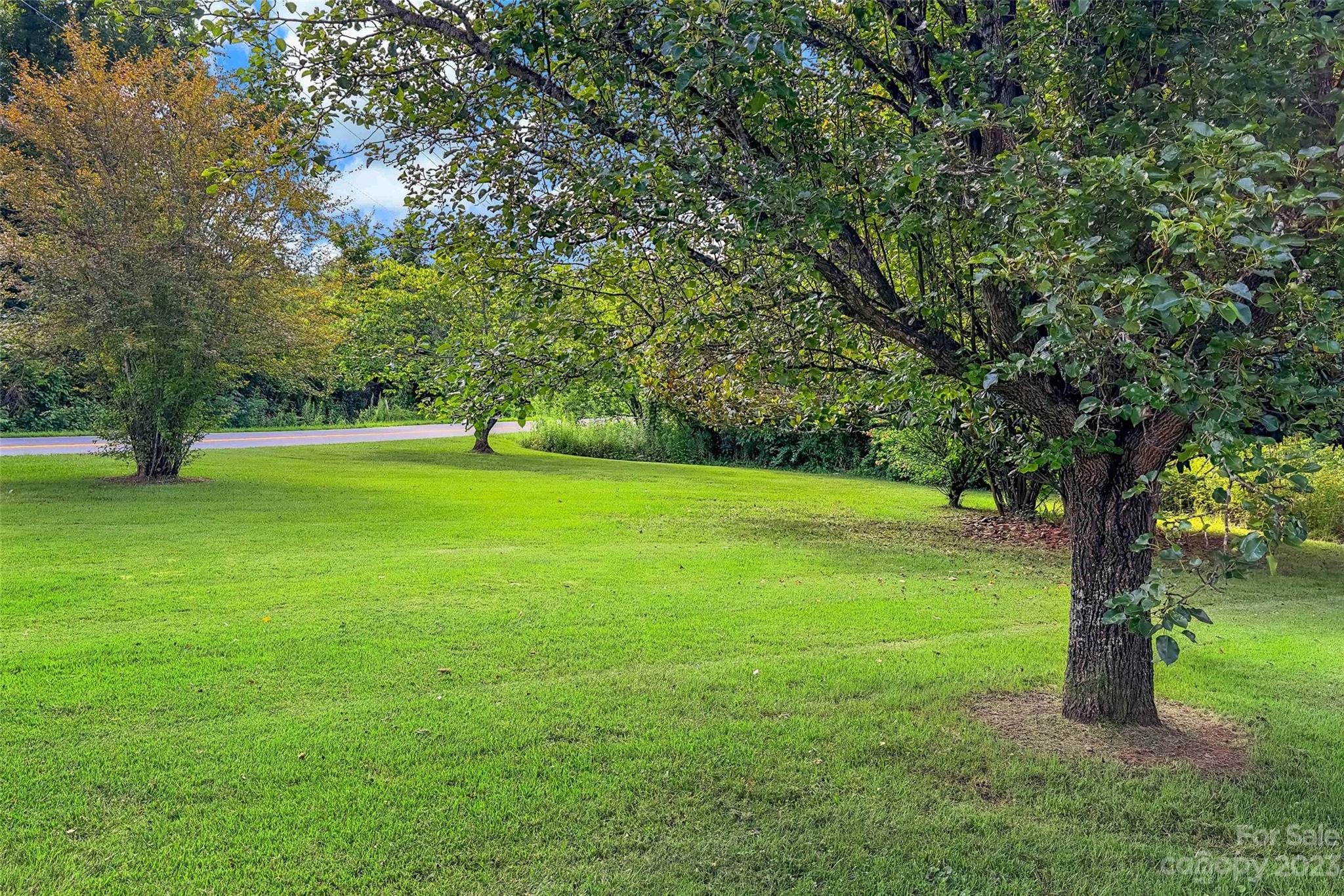 5232 Bat Cave Road Old Fort, NC 28762 - Photo 32 of 32 a view of a trees with a yard