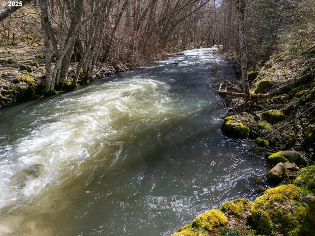 a backyard of a house with lots of trees