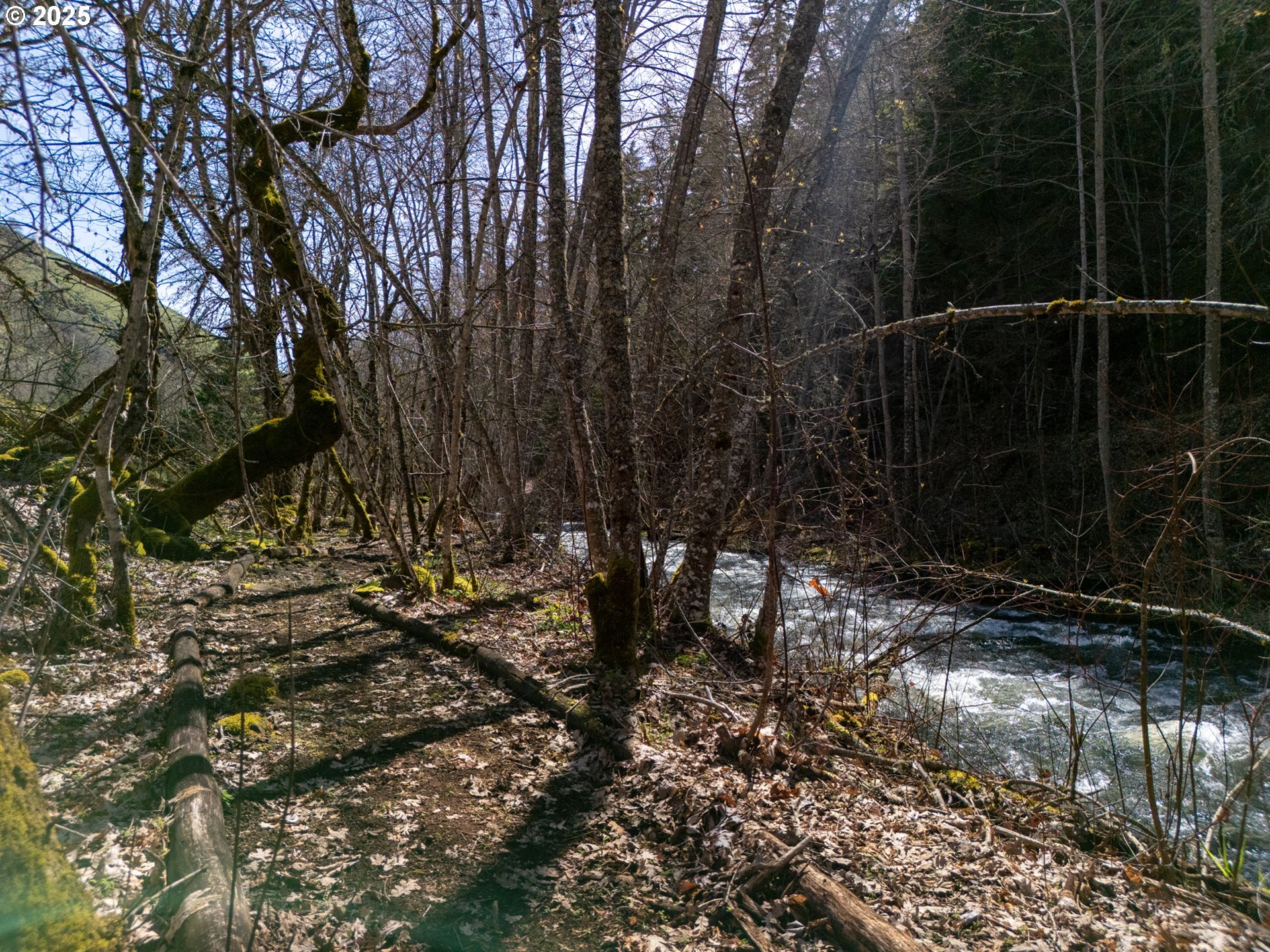 160 Major Creek Road Lyle, WA 98635 - Photo 13 of 44