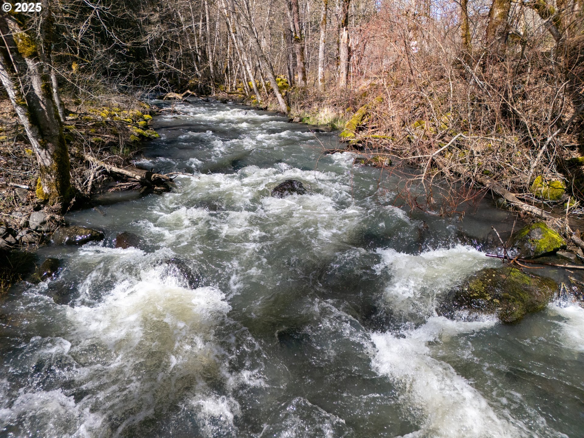160 Major Creek Road Lyle, WA 98635 - Photo 20 of 44