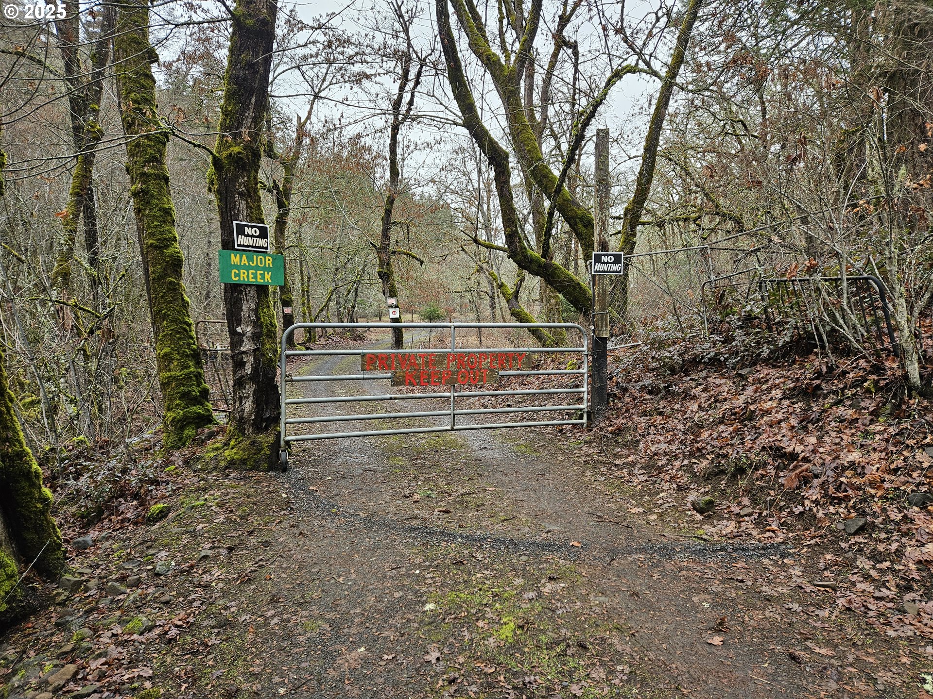 160 Major Creek Road Lyle, WA 98635 - Photo 22 of 44