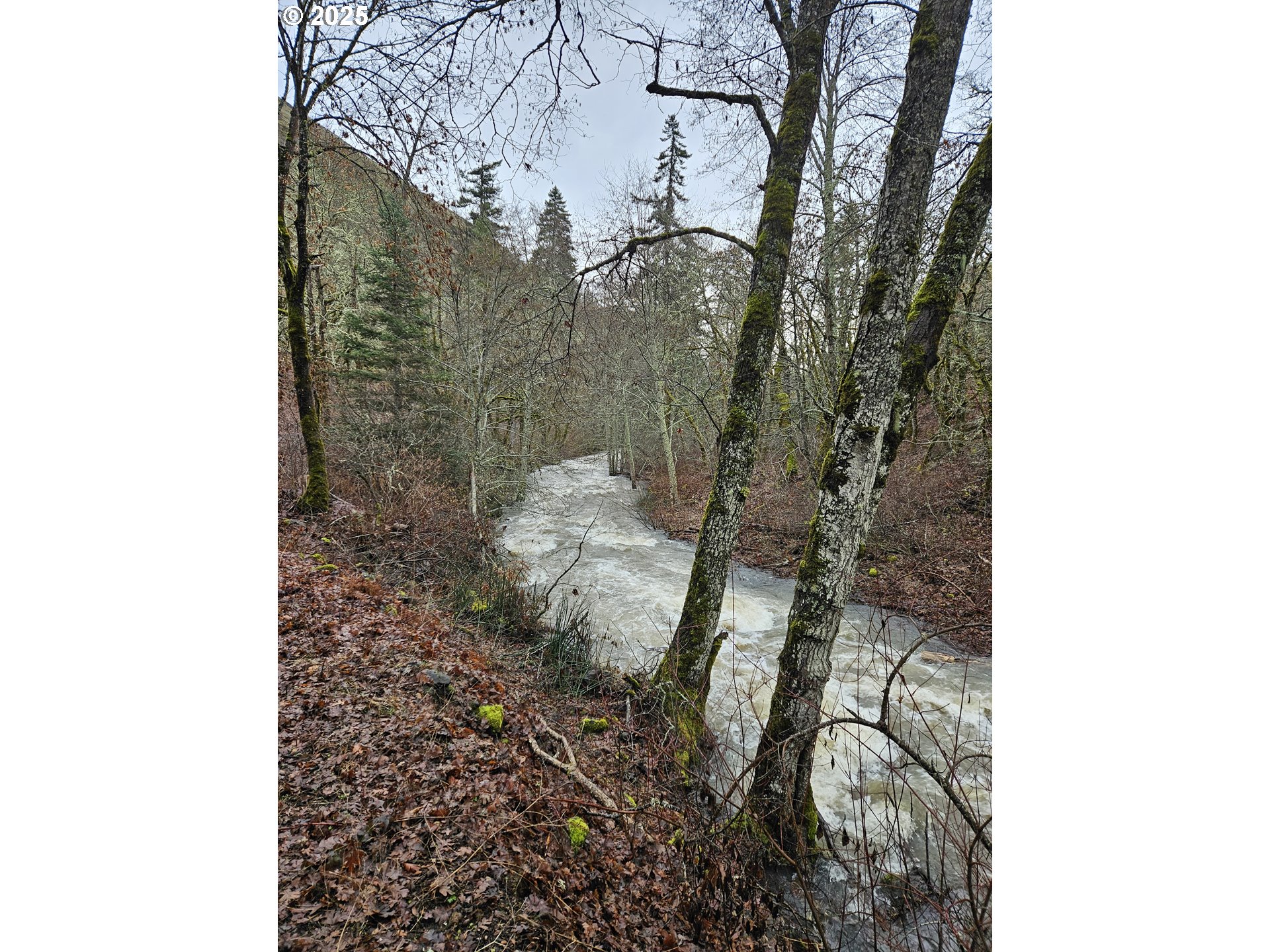 160 Major Creek Road Lyle, WA 98635 - Photo 23 of 44