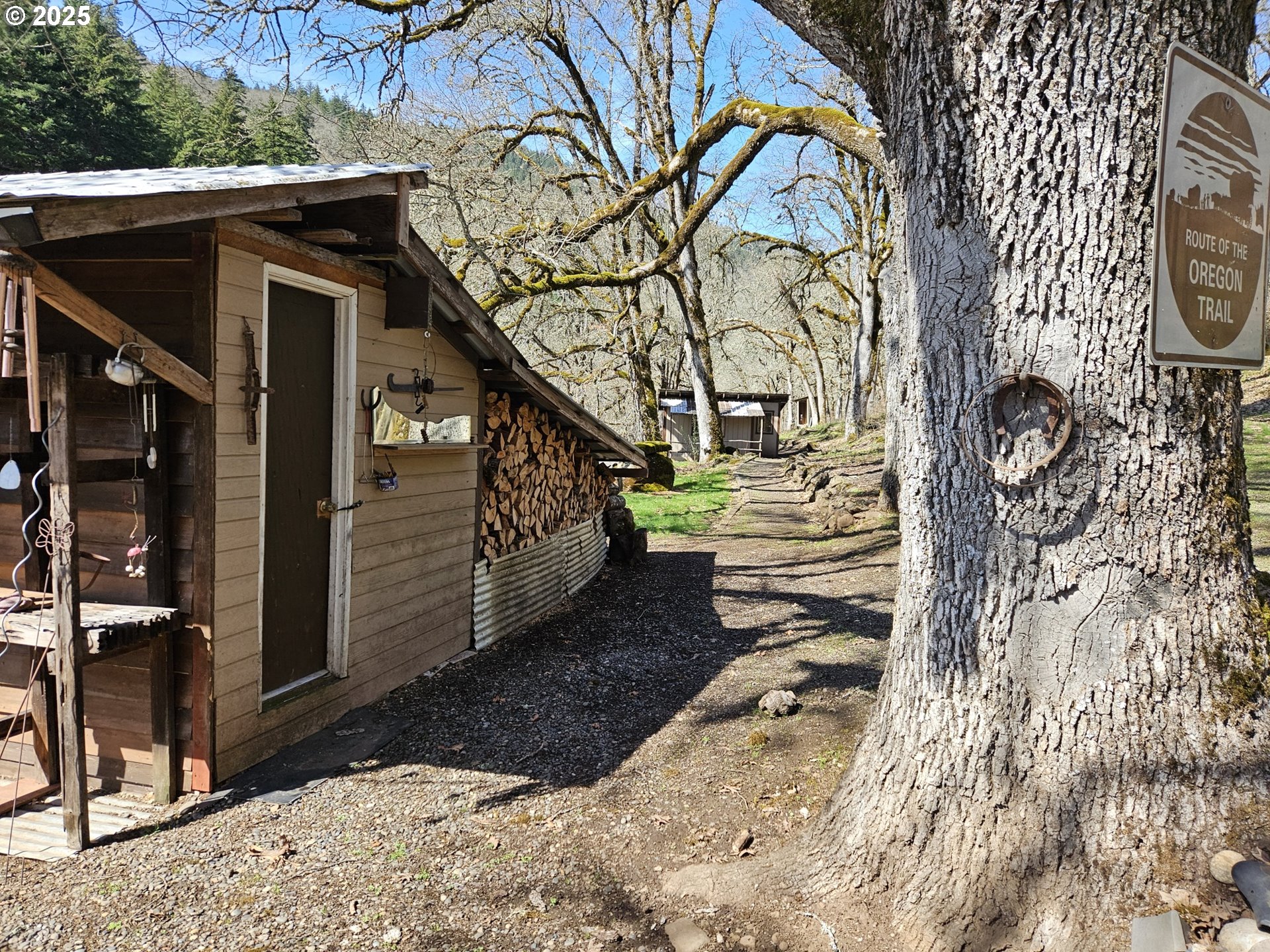 160 Major Creek Road Lyle, WA 98635 - Photo 25 of 44