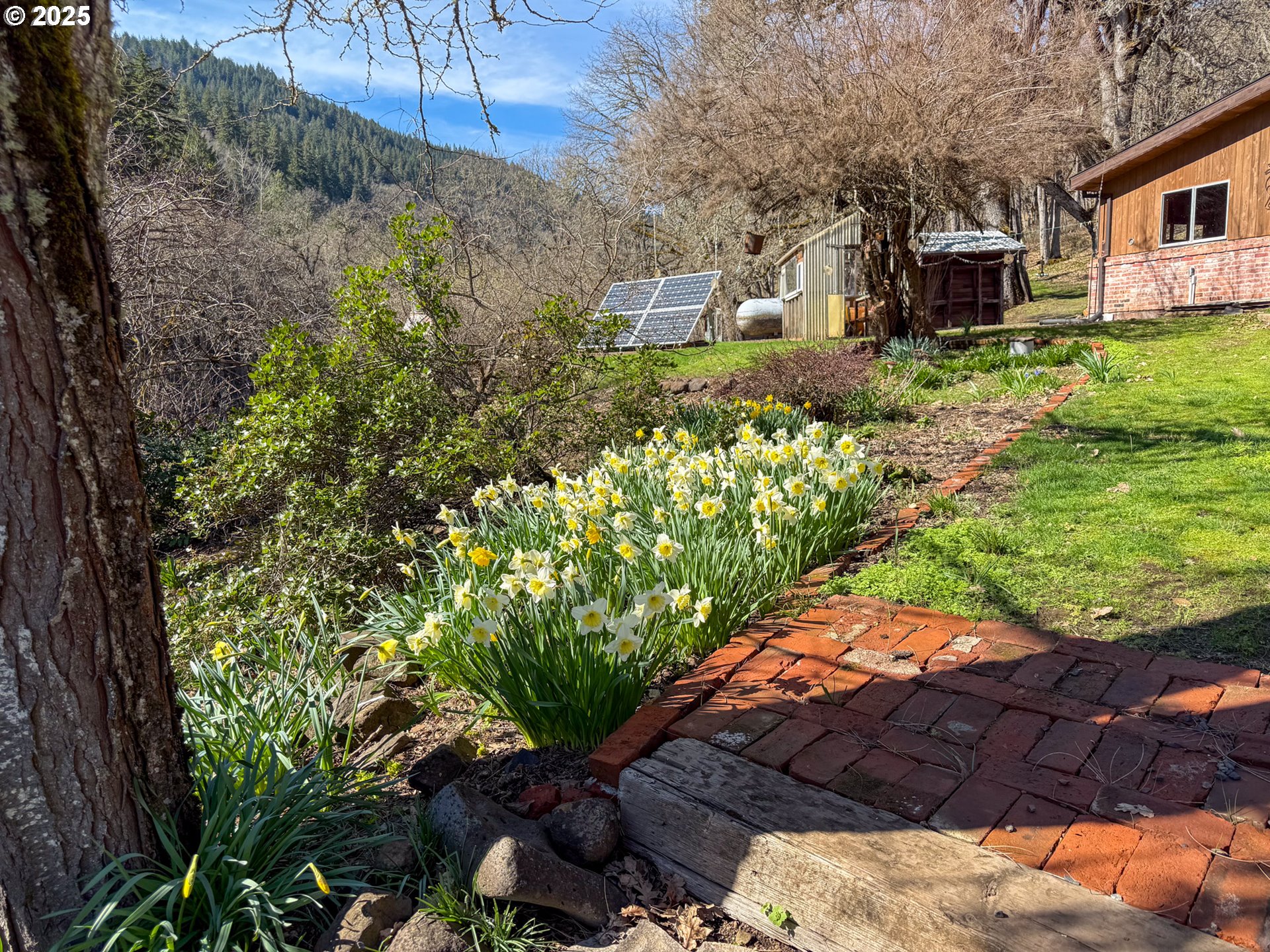 160 Major Creek Road Lyle, WA 98635 - Photo 27 of 44