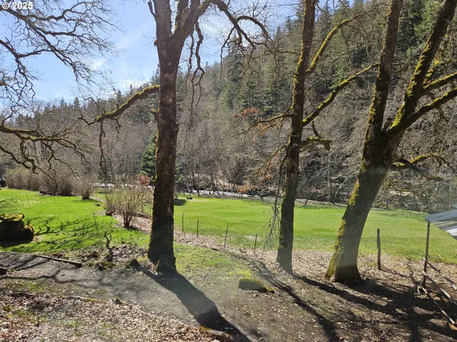 a view of a yard with a tree