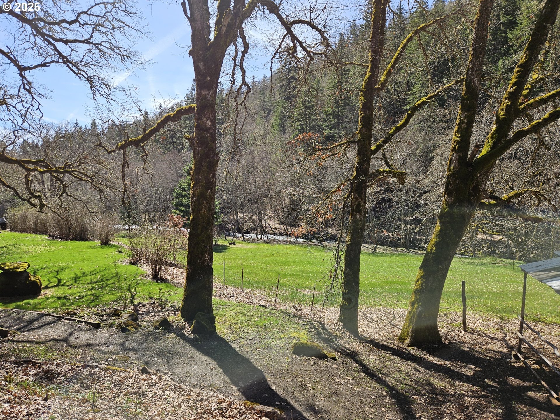 160 Major Creek Road Lyle, WA 98635 - Photo 4 of 44