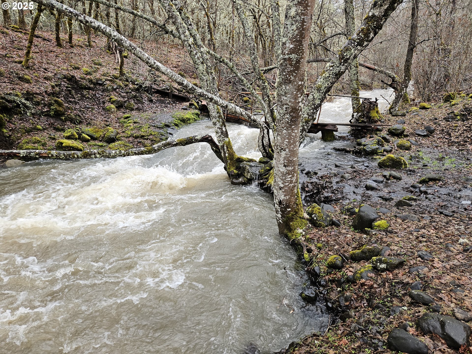 160 Major Creek Road Lyle, WA 98635 - Photo 43 of 44