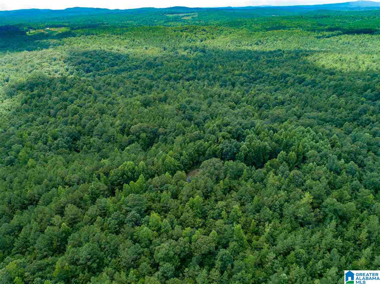 Broken Arrow Road Goodwater, AL 35072 - Photo 16 of 28