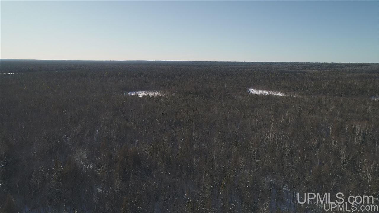 80-acres Co Rd N415 McMillan, MI 49853 - Photo 17 of 36
