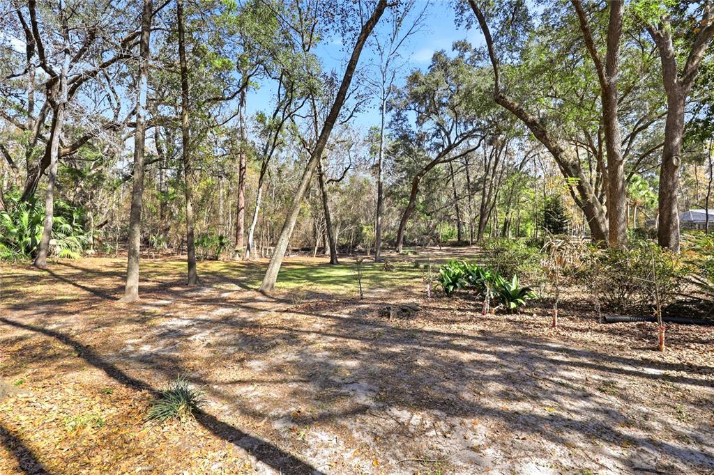 10320 Southwest 17th Place Gainesville, FL 32607 - Photo 55 of 64