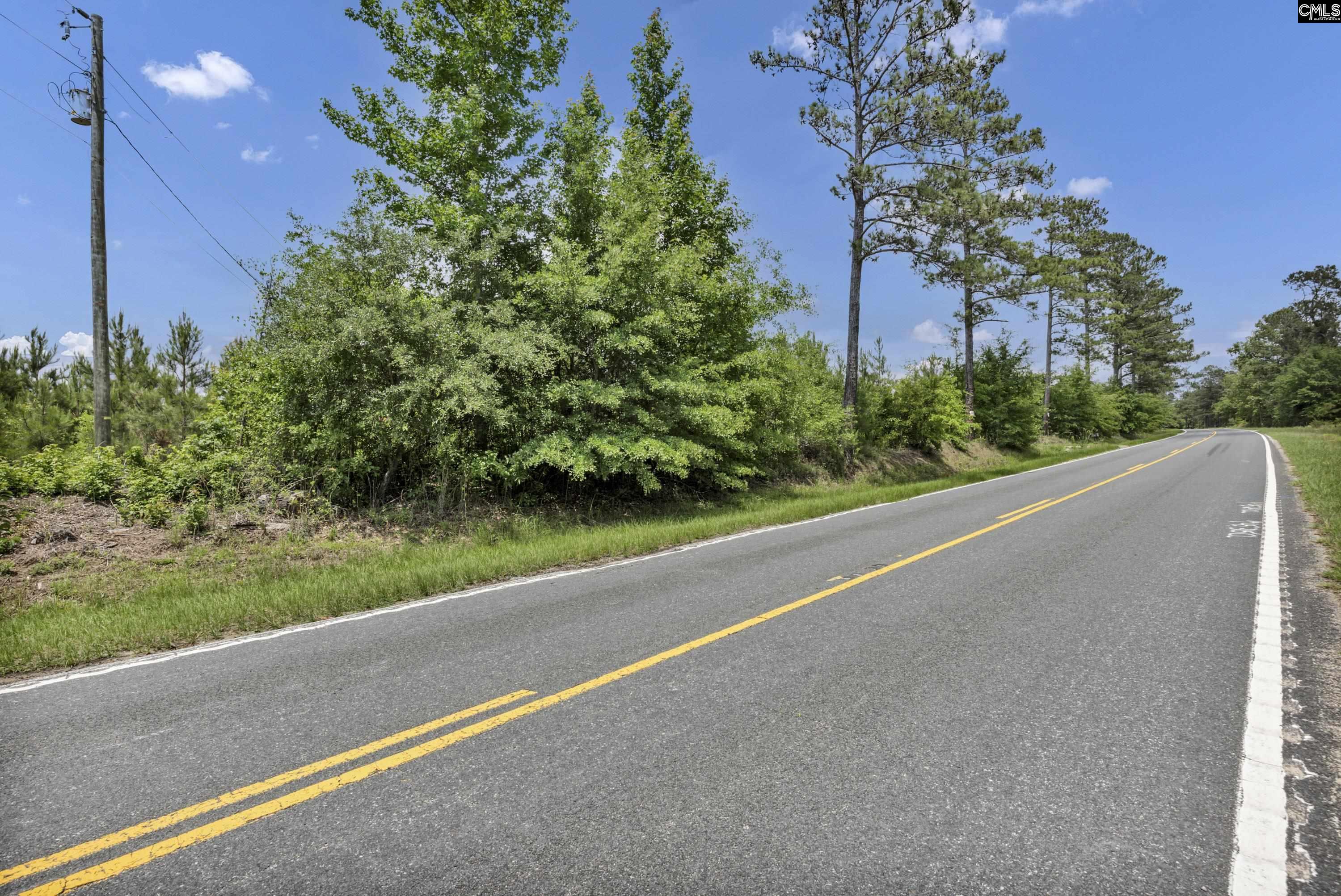 Na Bull Swamp Road North, SC 29112 - Photo 1 of 28