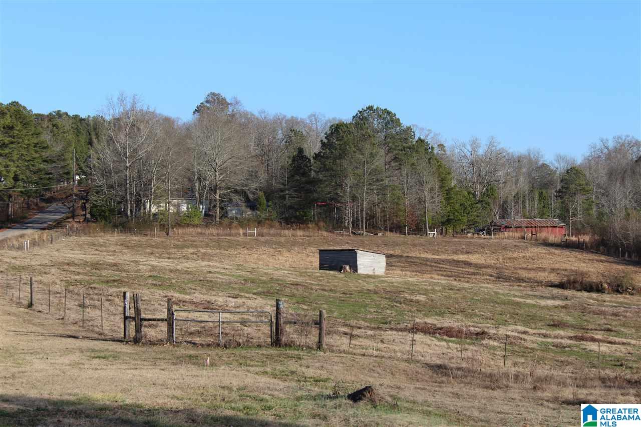 3601 Brookside Road Brilliant, AL 35548 - Photo 25 of 33