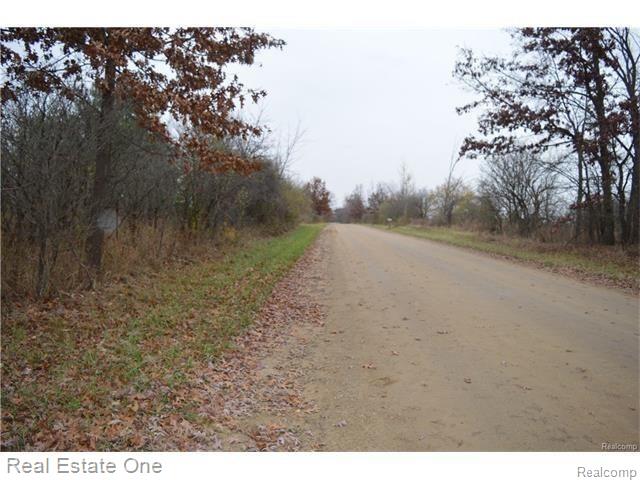 Par B Musson Road Howell, MI 48855 - Photo 26 of 28