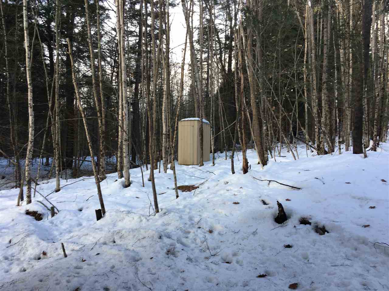 203 Wilderness Acres Road Lyman, NH 03585 - Photo 3 of 8