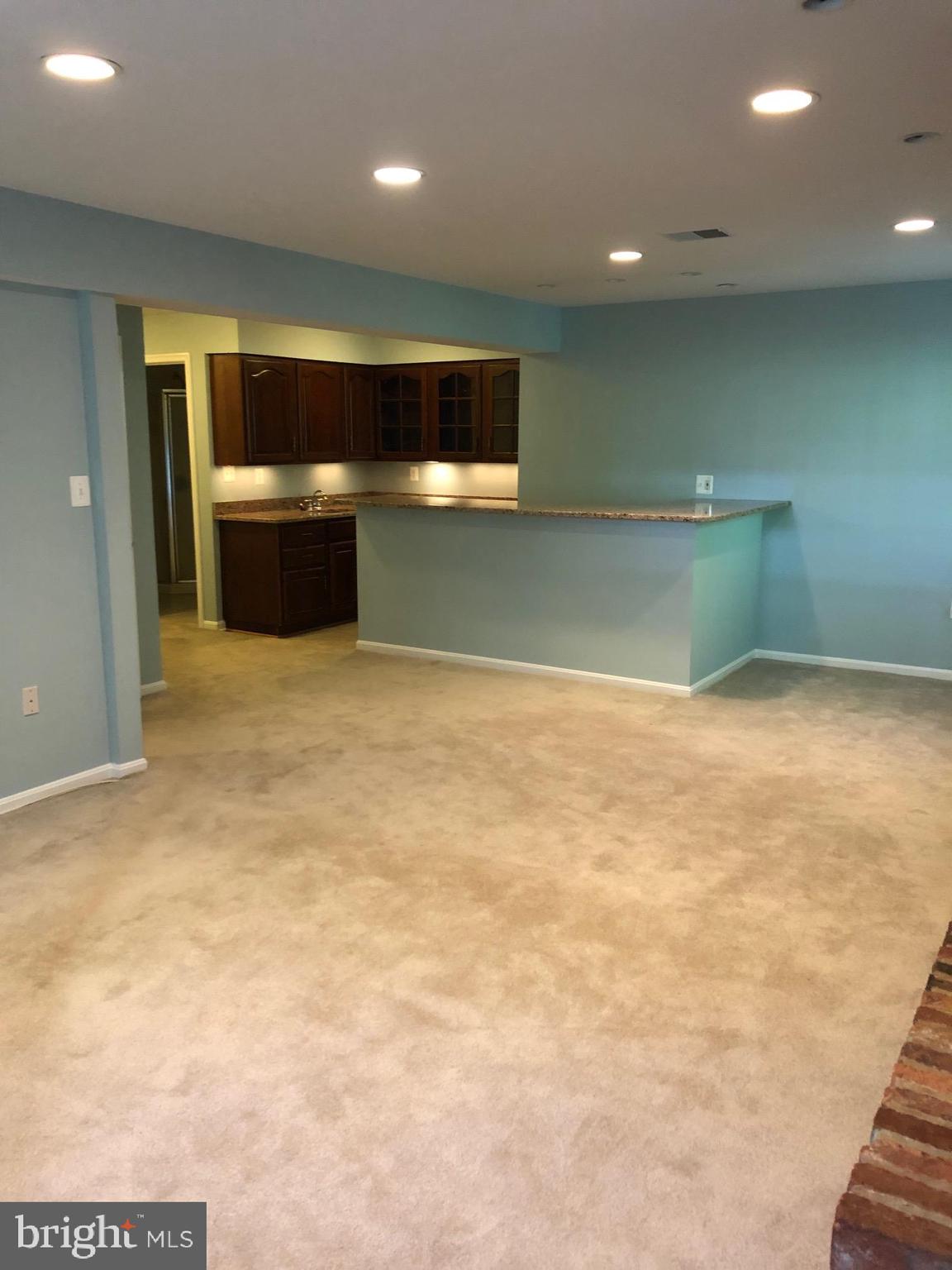 978 Bellview Road McLean, VA 22102 - Photo 16 of 19 Rec Room