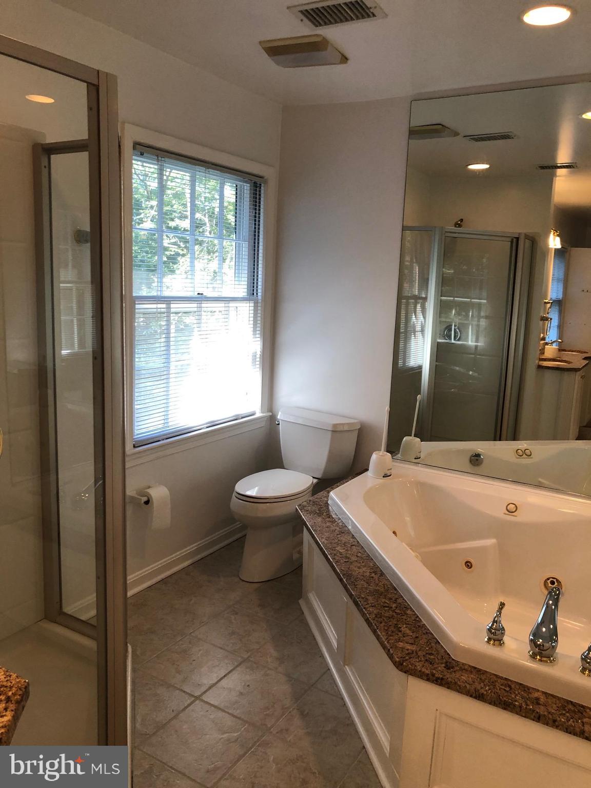 978 Bellview Road McLean, VA 22102 - Photo 9 of 19 Master Bath Tub & Shower