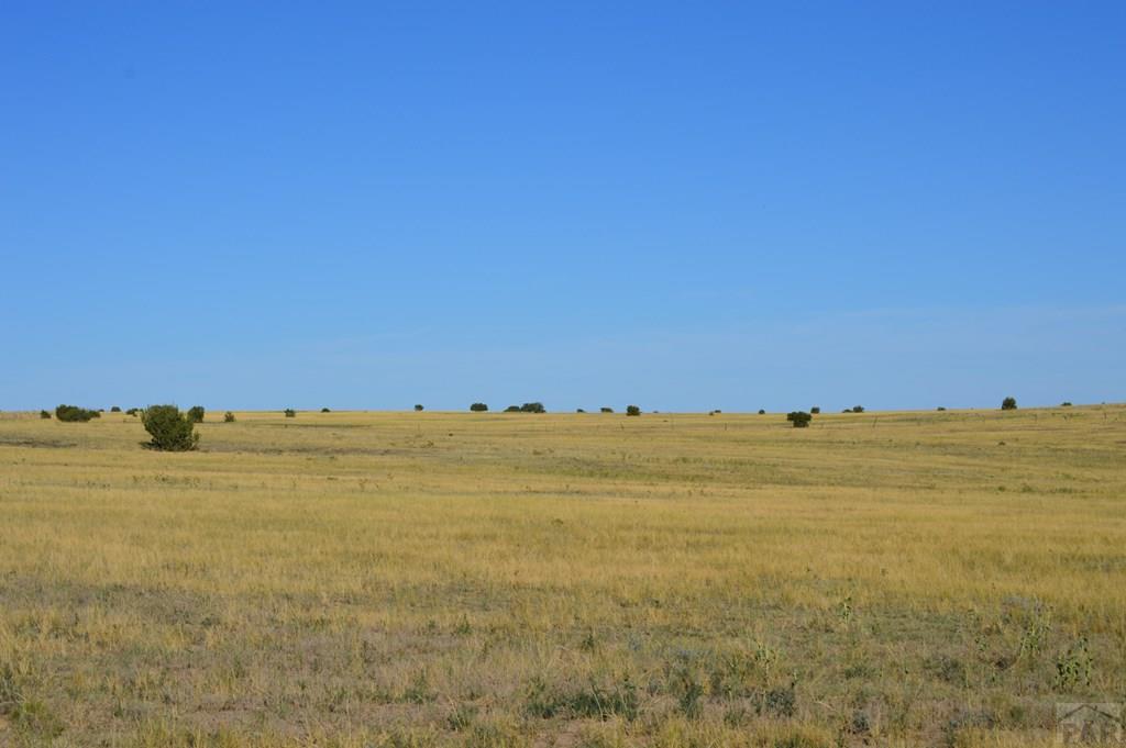 Tbd Tbd Plata Peak Rye, CO 81069 - Photo 9 of 11