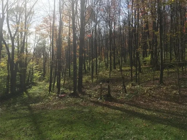 $350,000 | 340 Sherman Hill Road, Bainbridge, NY 13733