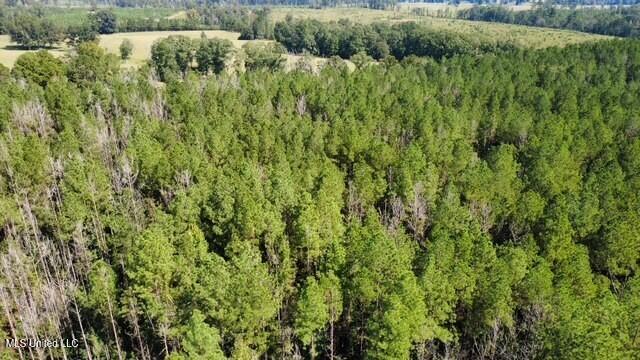 5464 A Pecan Orchard Road Liberty, MS 39645 - Photo 11 of 14 thumbnail_IMG_1548