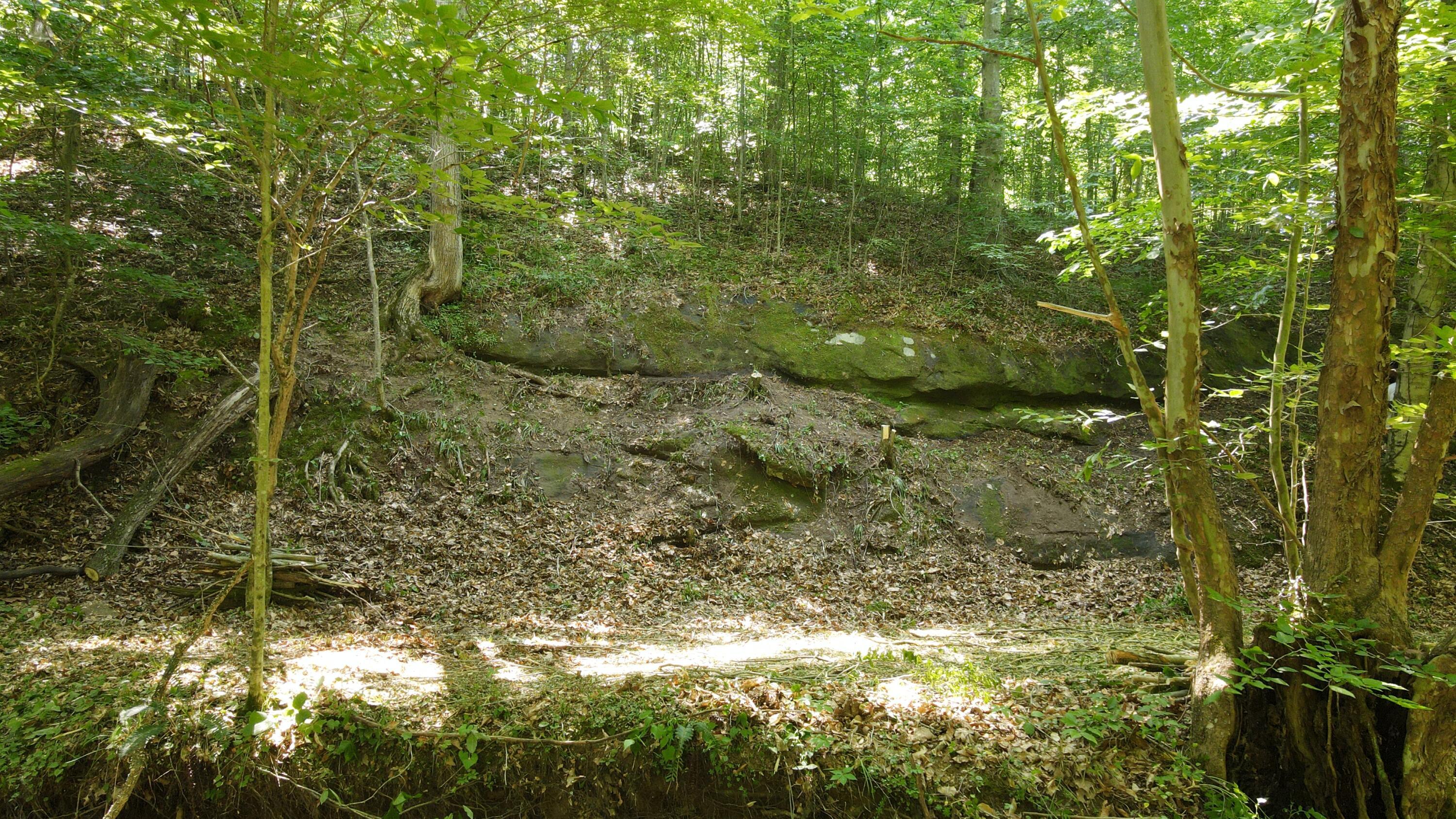 1101 Hull Road, Unit TRACT 9 WOODS WAYNE FOREST) Patriot, OH 45658 - Photo 51 of 61 20240621_151642000_iOS