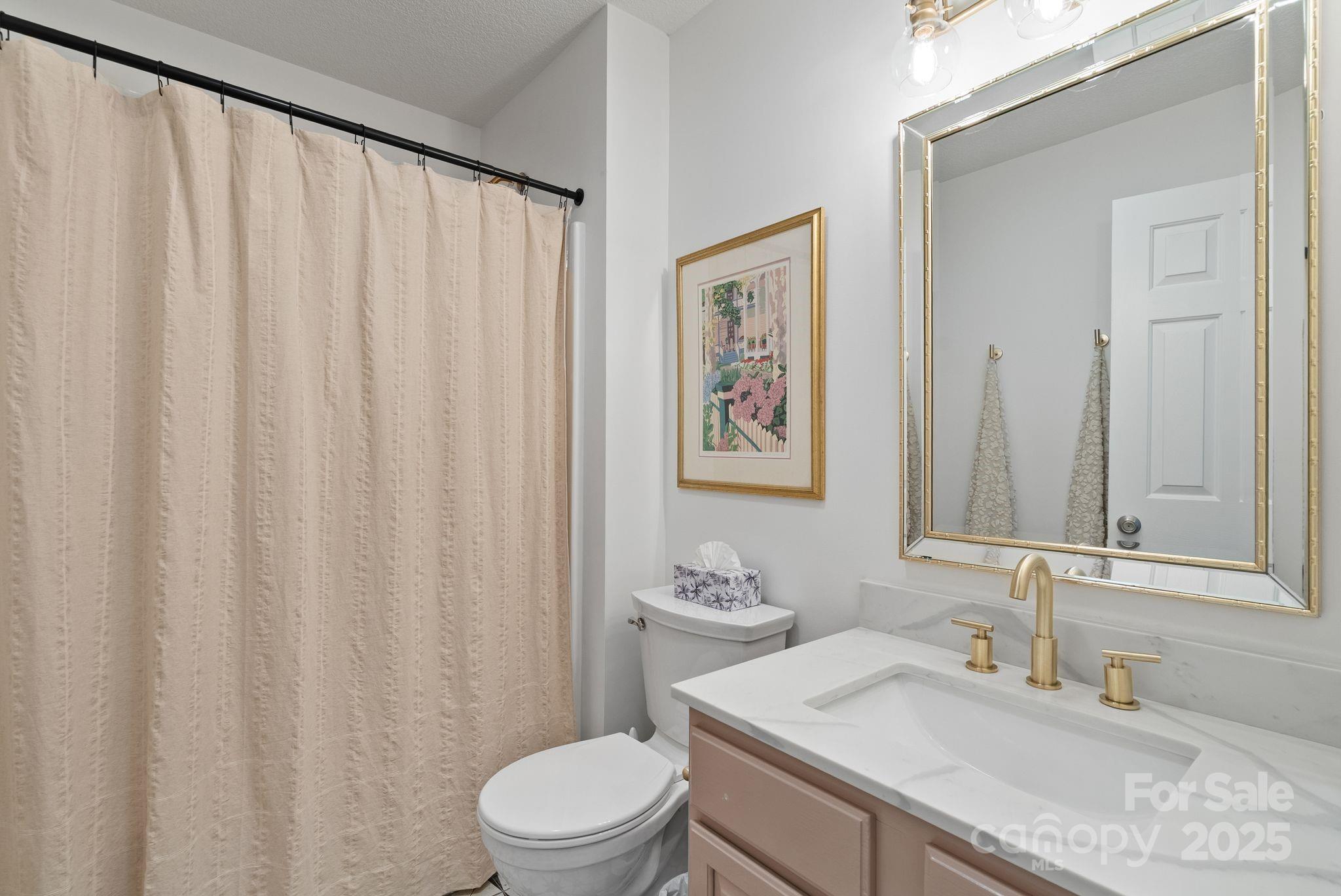 6 Sayles Town Road Fairview, NC 28730 - Photo 23 of 43 a bathroom with a granite countertop sink a toilet and a mirror