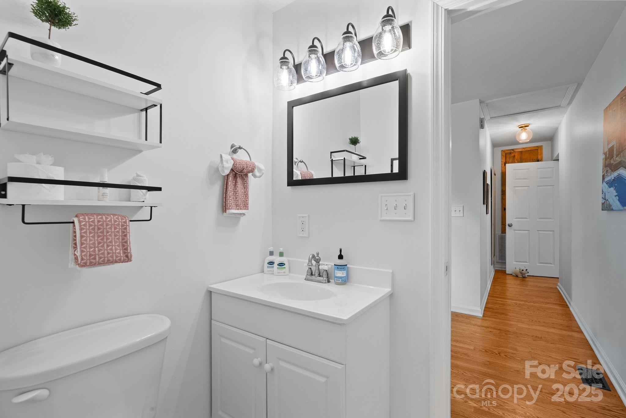 6 Sayles Town Road Fairview, NC 28730 - Photo 33 of 43 a bathroom with a sink mirror vanity and toilet