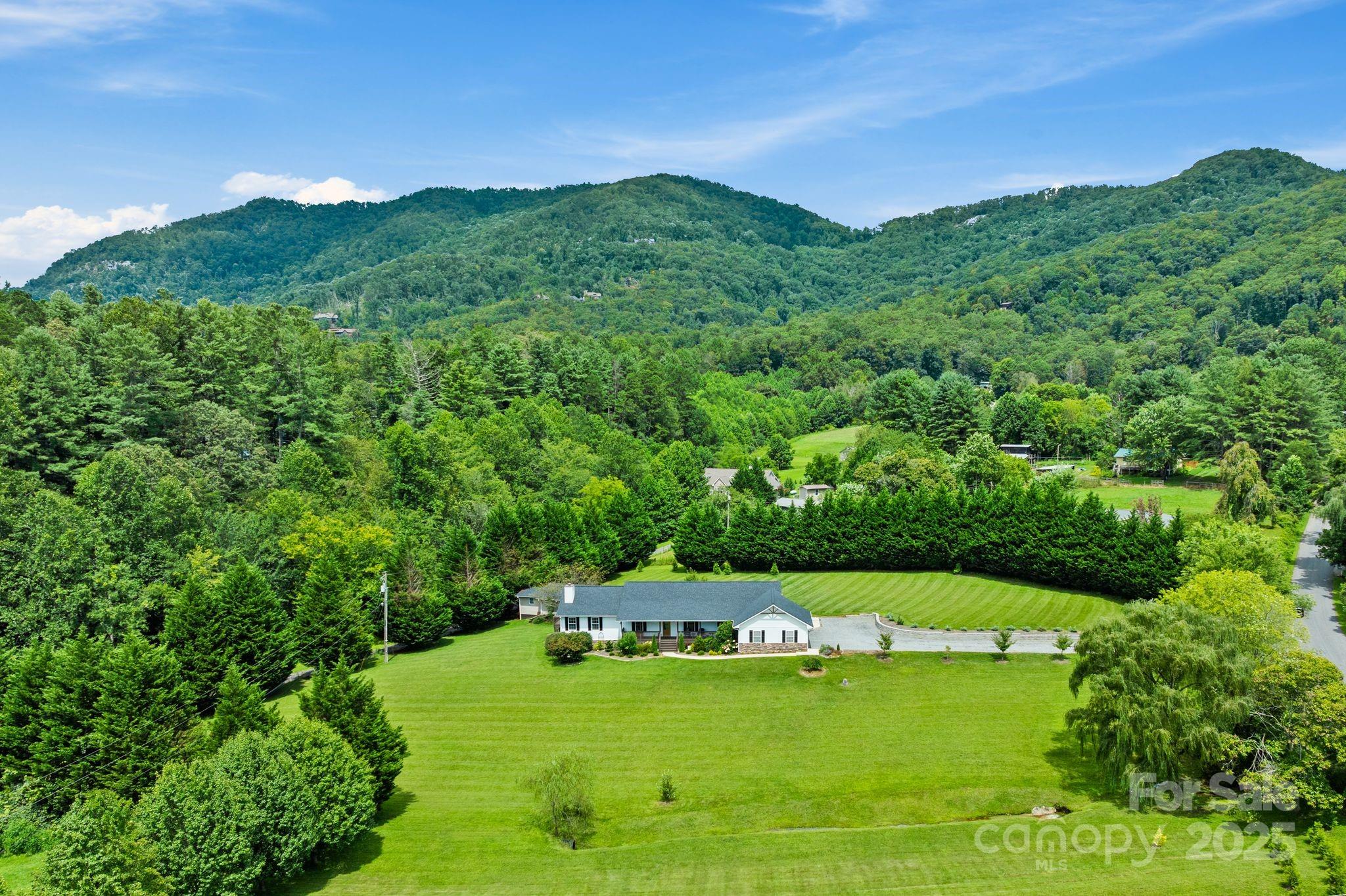 6 Sayles Town Road Fairview, NC 28730 - Photo 4 of 43 a green field with lots of bushes