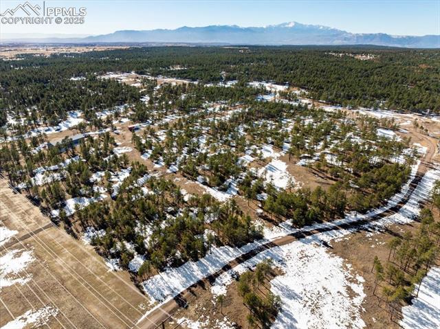 12180 Goodson Road Colorado Springs, CO 80908 - Photo 20 of 25