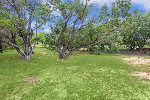 a view of a field with a tree