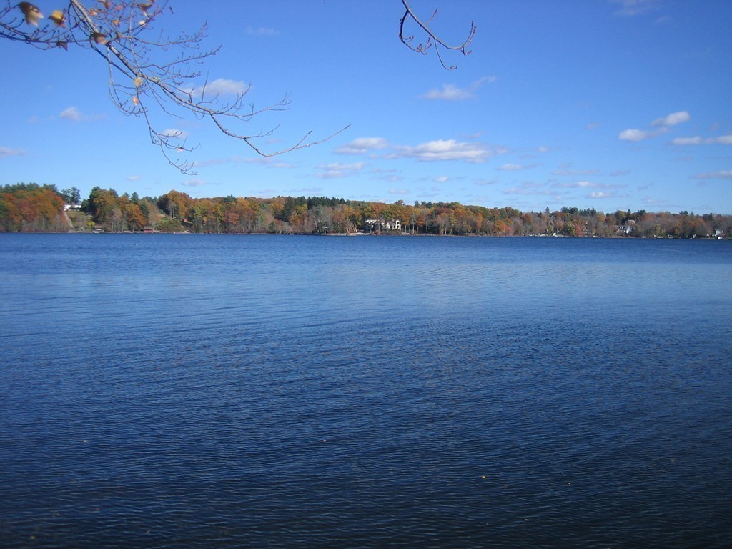 33-36 West Sutton Road Sutton, MA 01590 - Photo 9 of 30 Gallery Image 9