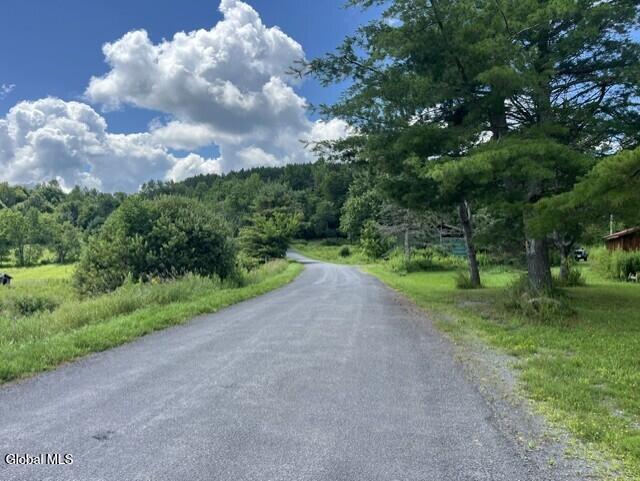 359 Baldwin Road Summit, NY 12093 - Photo 15 of 22 Roadway