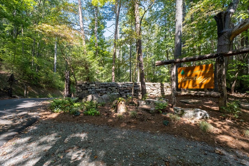 207 Utana Blfs Trail Ellijay, GA 30540 - Photo 85 of 100