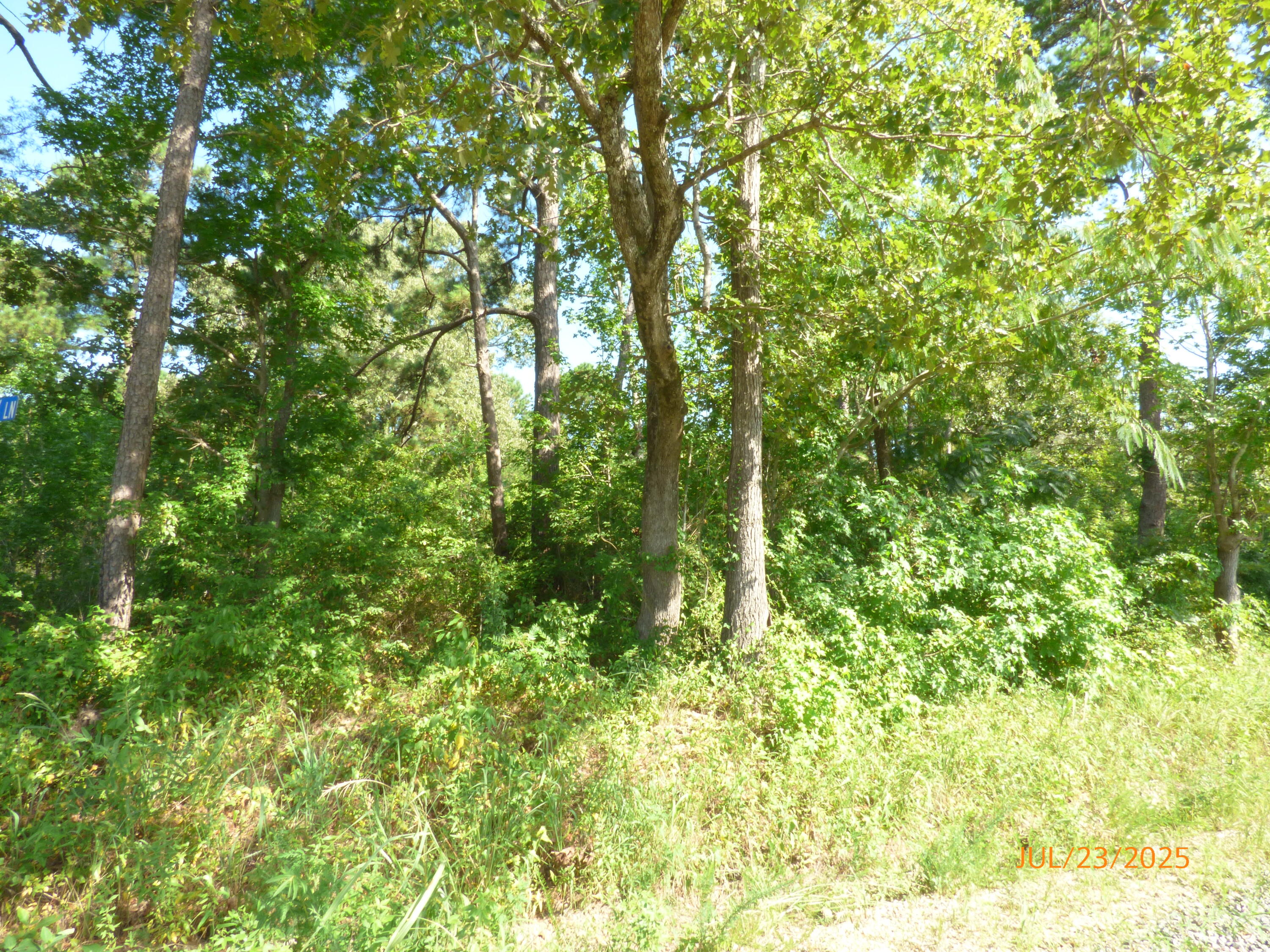 0 Big Woods Road Pineville, SC 29468 - Photo 2 of 4 Wood Lot
