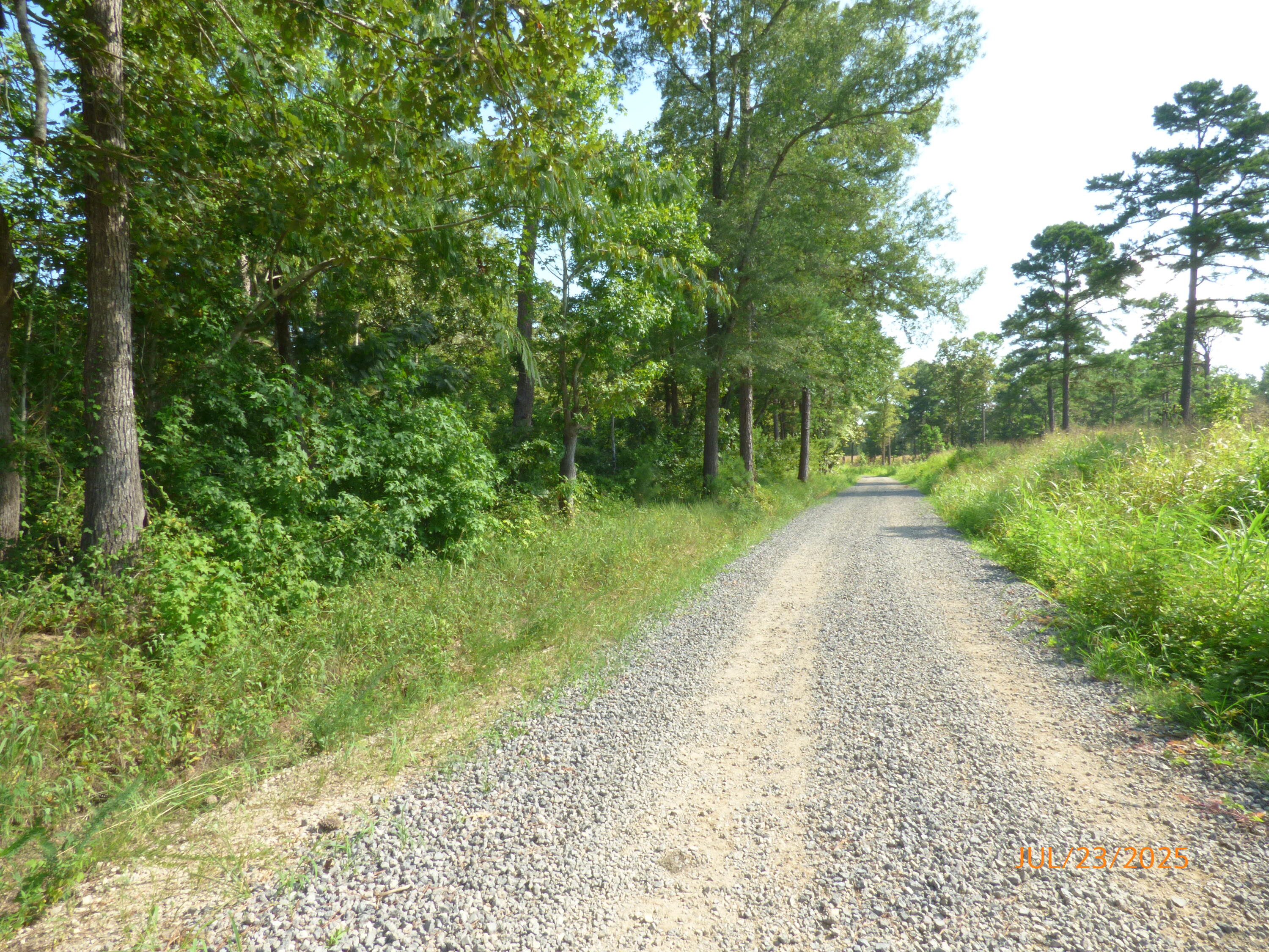 0 Big Woods Road Pineville, SC 29468 - Photo 3 of 4 Gravel Road Frontage