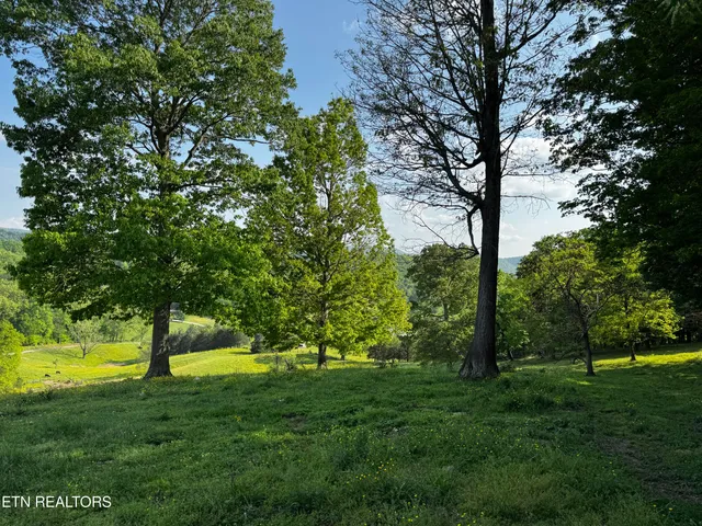 $495,000 | Baltimore Road, Washburn, TN 37888